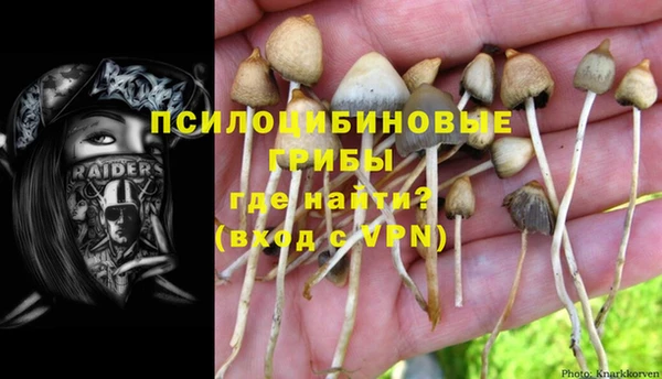 ешки Каменка