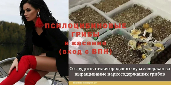 метадон Каменногорск