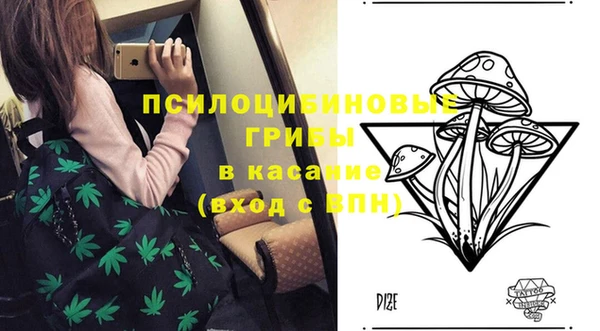 метадон Каменногорск