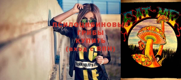 метадон Каменногорск